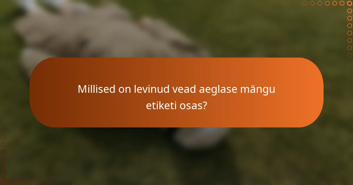 Millised on levinud vead aeglase mängu etiketi osas?